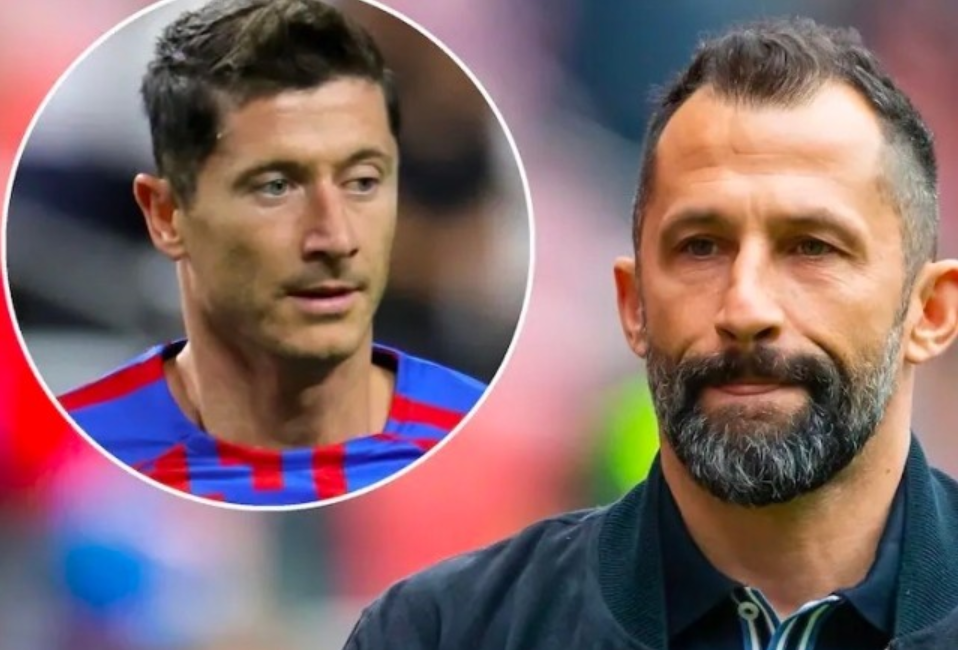 然也有不少 然也有不少