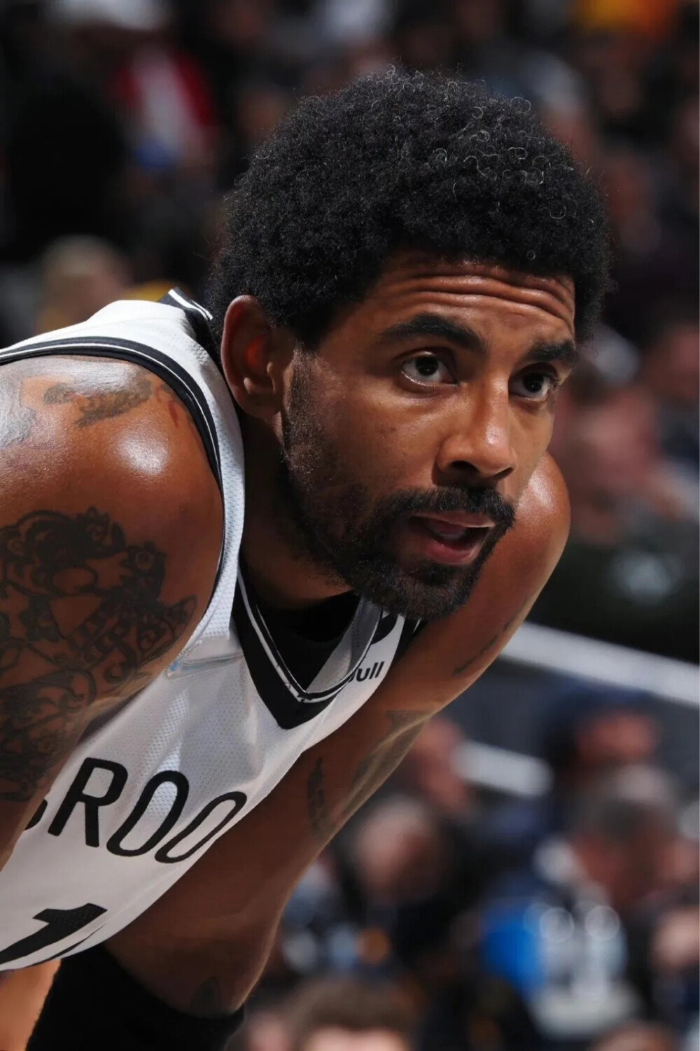 通过引人入 通过引人入