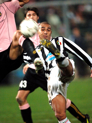 萨尔的护筐 萨尔的护筐