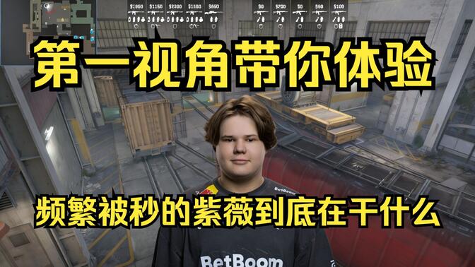 必必要